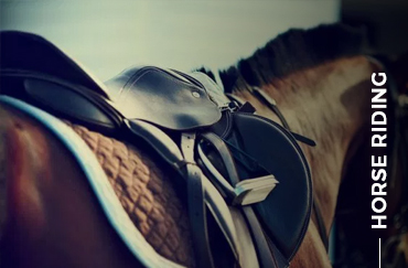 Horse Riding
