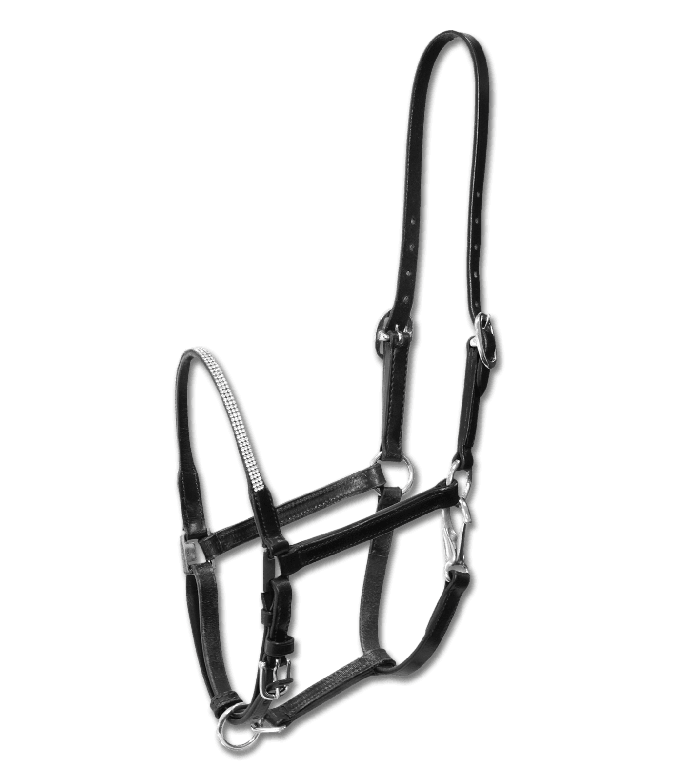 Bridles