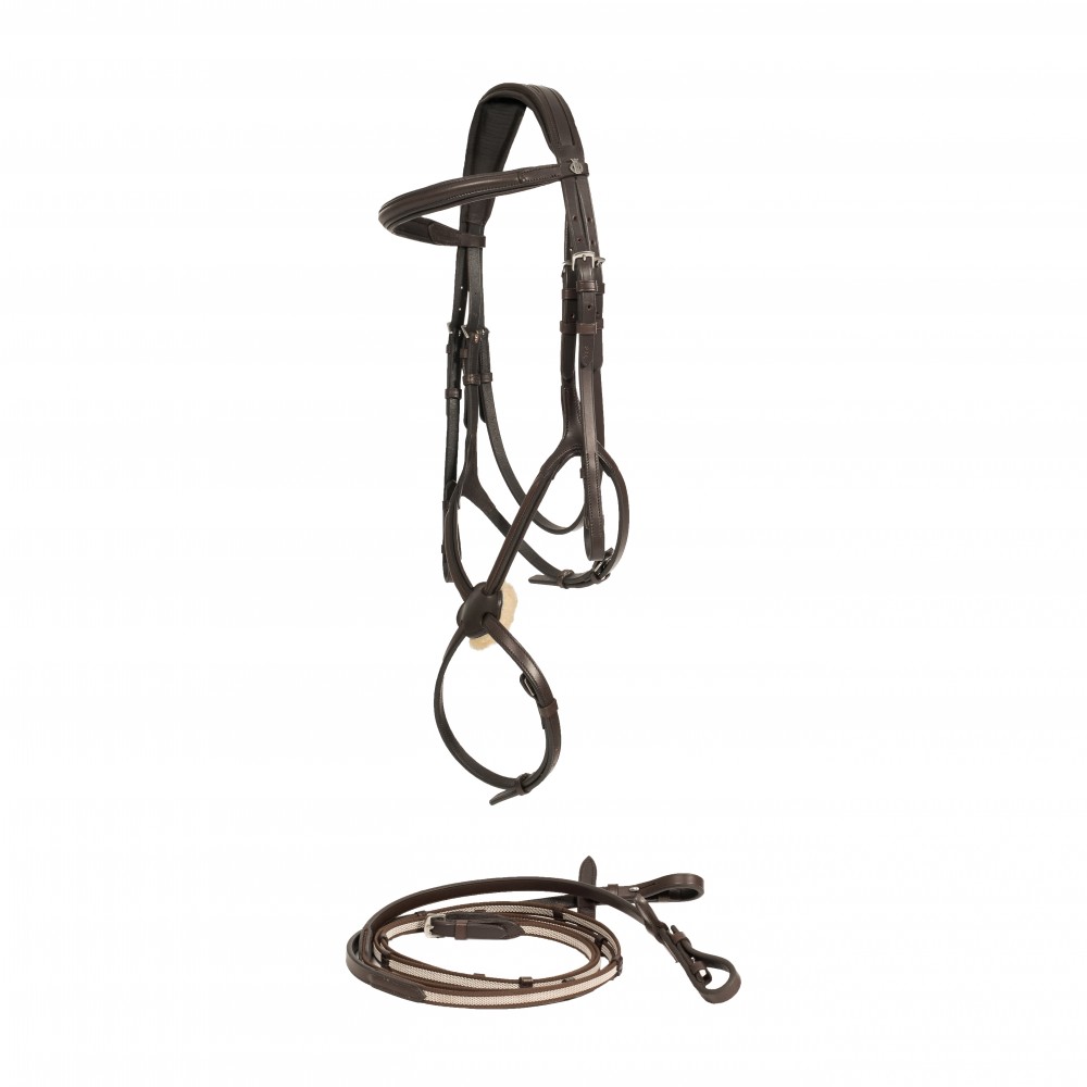 Bridles