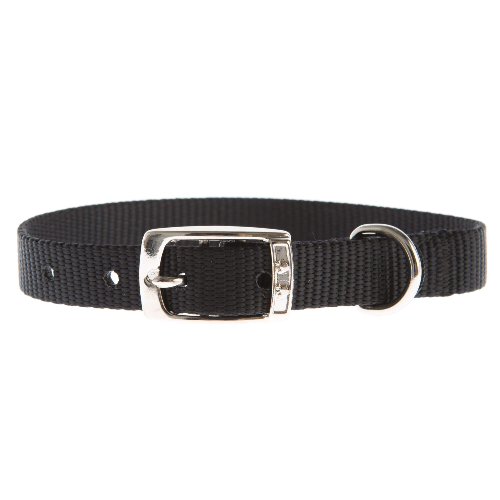 Dog Collar