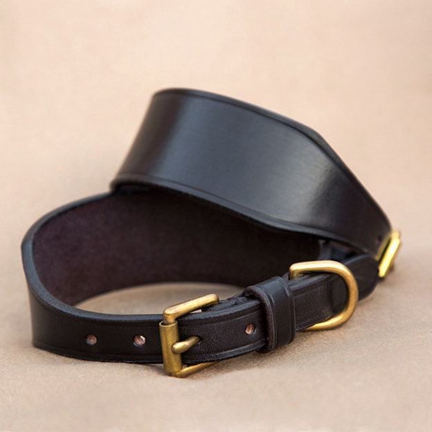 Widest Dog Collar