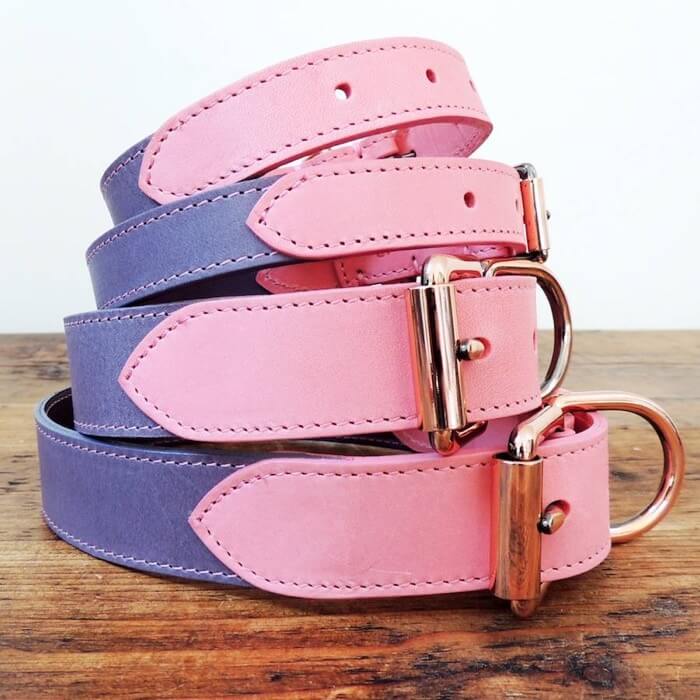 Designer Dog Collar