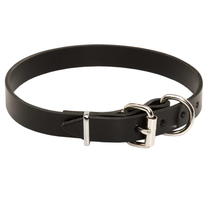 Dog Collar