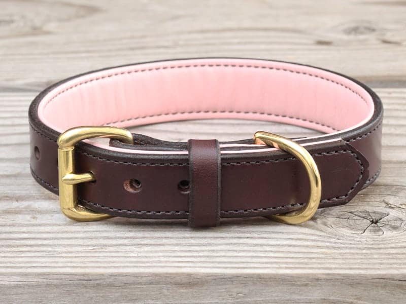 Leather Dog Collar