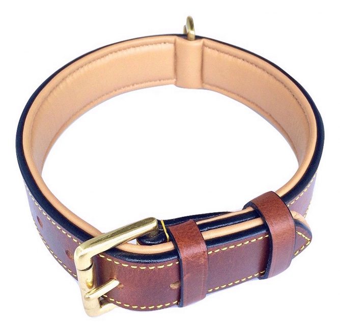 Leather Padded Dog Collar
