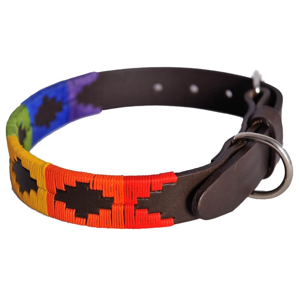 Polo Dog Collar